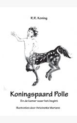 Koningspaard Polle - En de kamer waar het begint