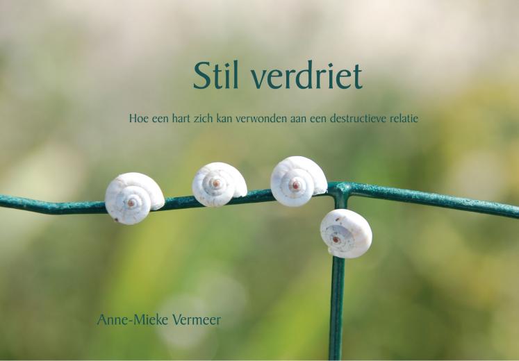 Ongebruikt Webwinkel Boekscout.nl: Anne-Mieke Vermeer - Stil verdriet - Hoe OP-14
