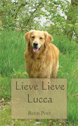 Lieve Lieve Lucca